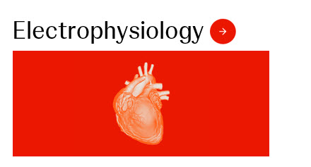 Electrophysiology Image